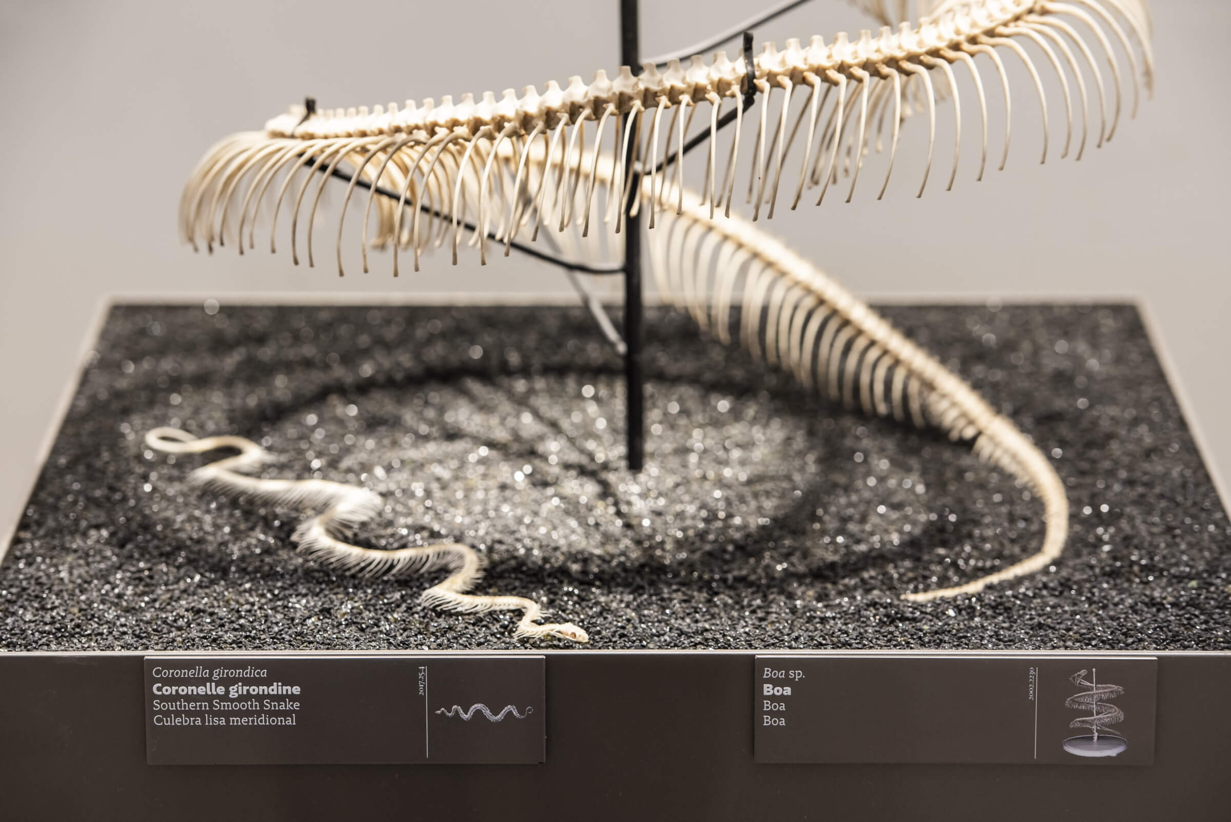 museum1.hd.2019anaka-70