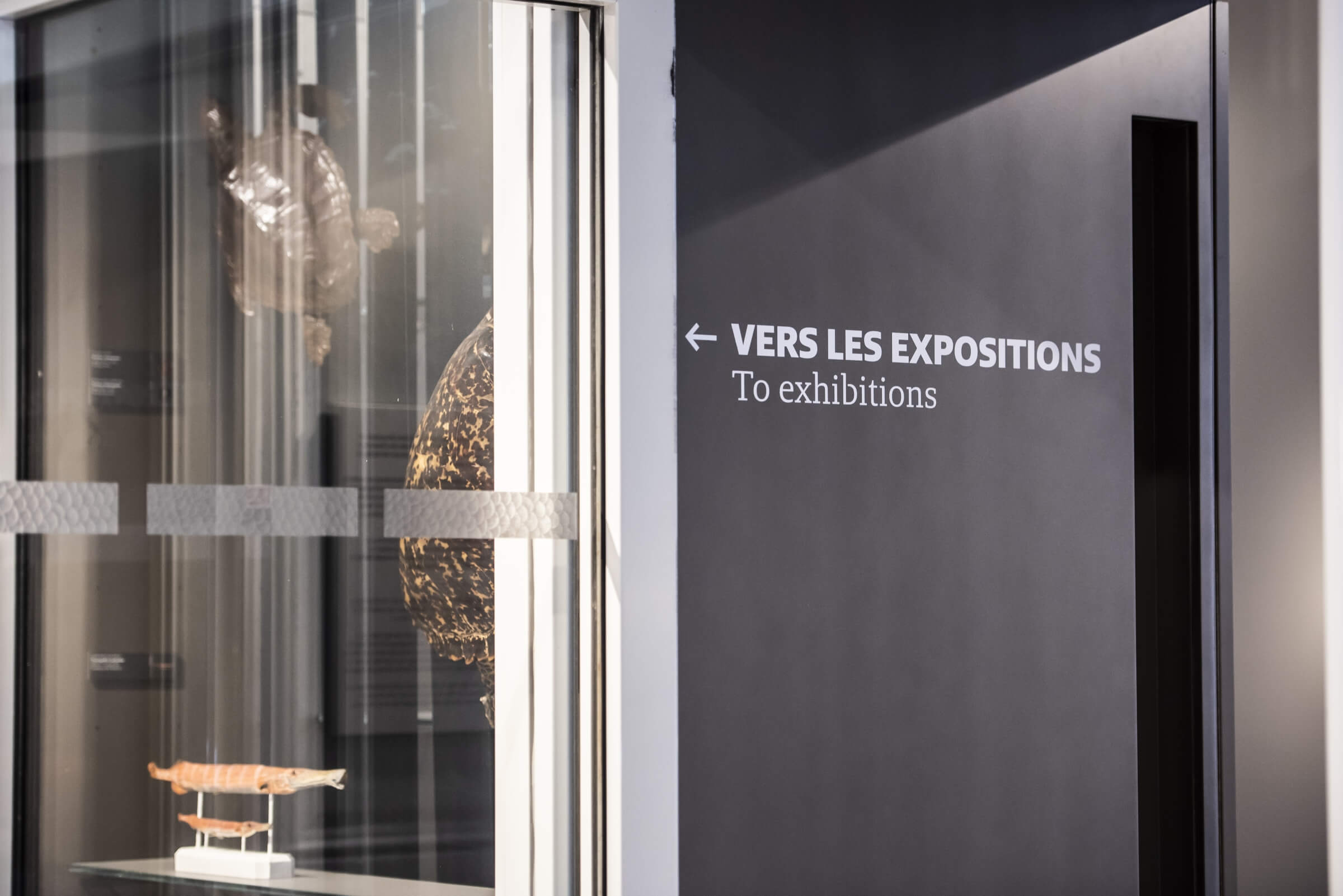 museum1.hd.2019anaka-122