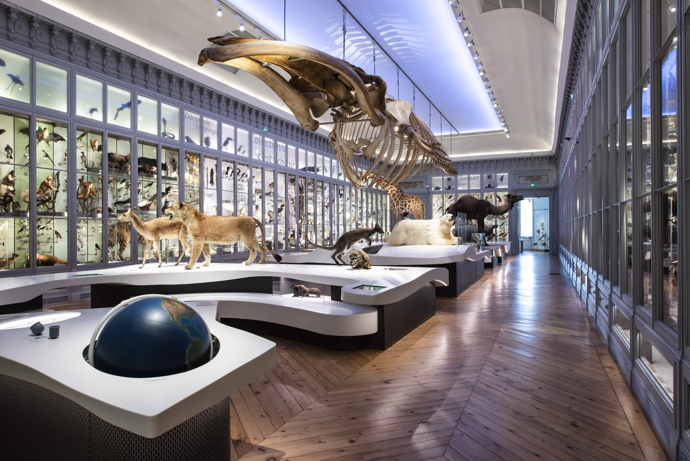 museum1.hd.2019anaka-230