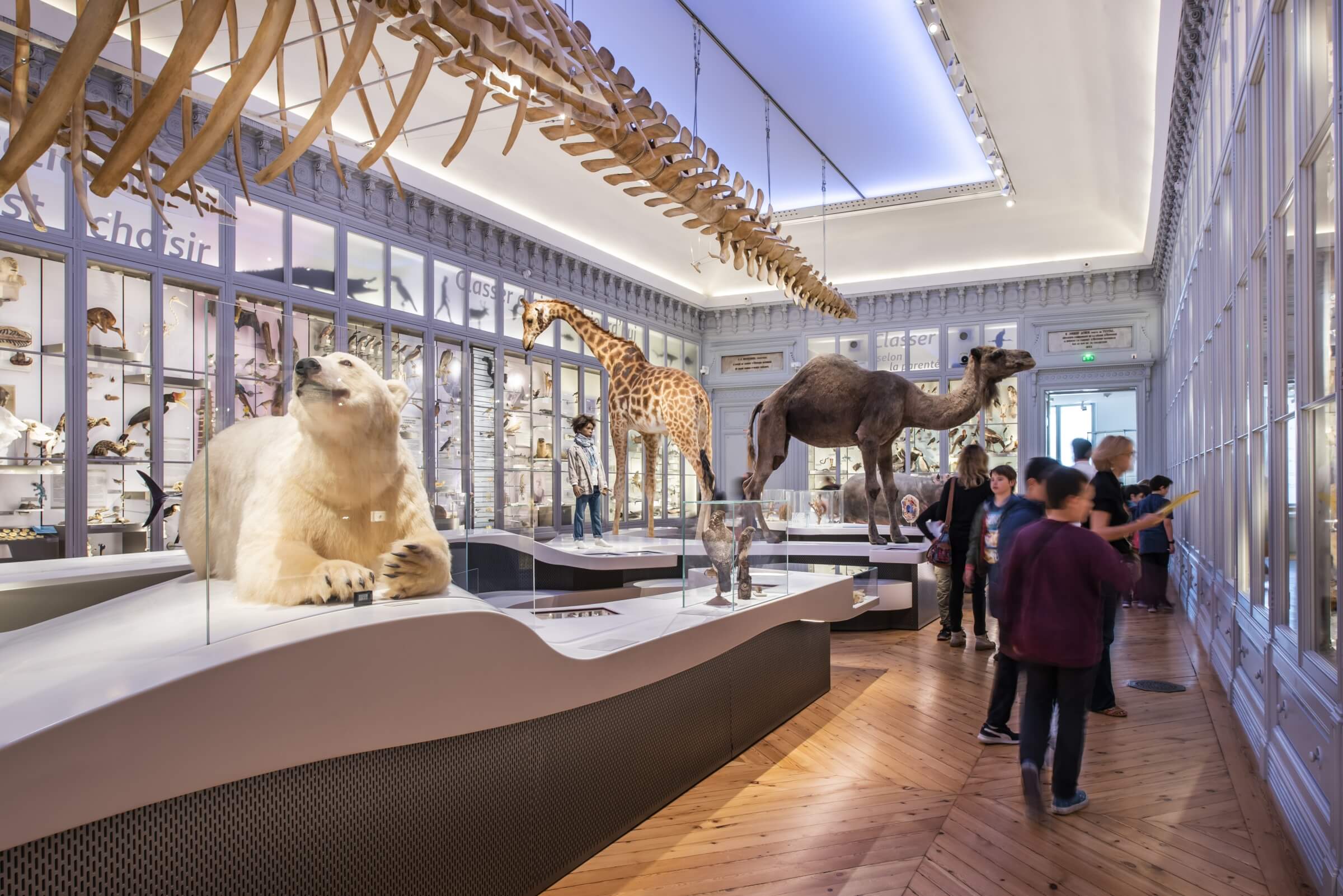 museum1.hd.2019anaka-266