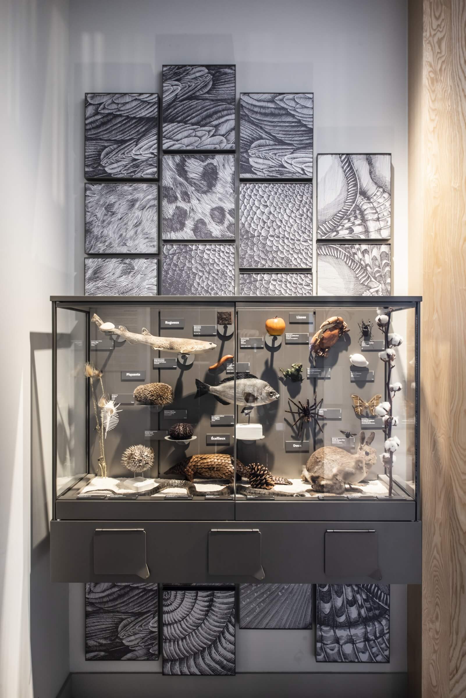 museum1.hd.2019anaka-105