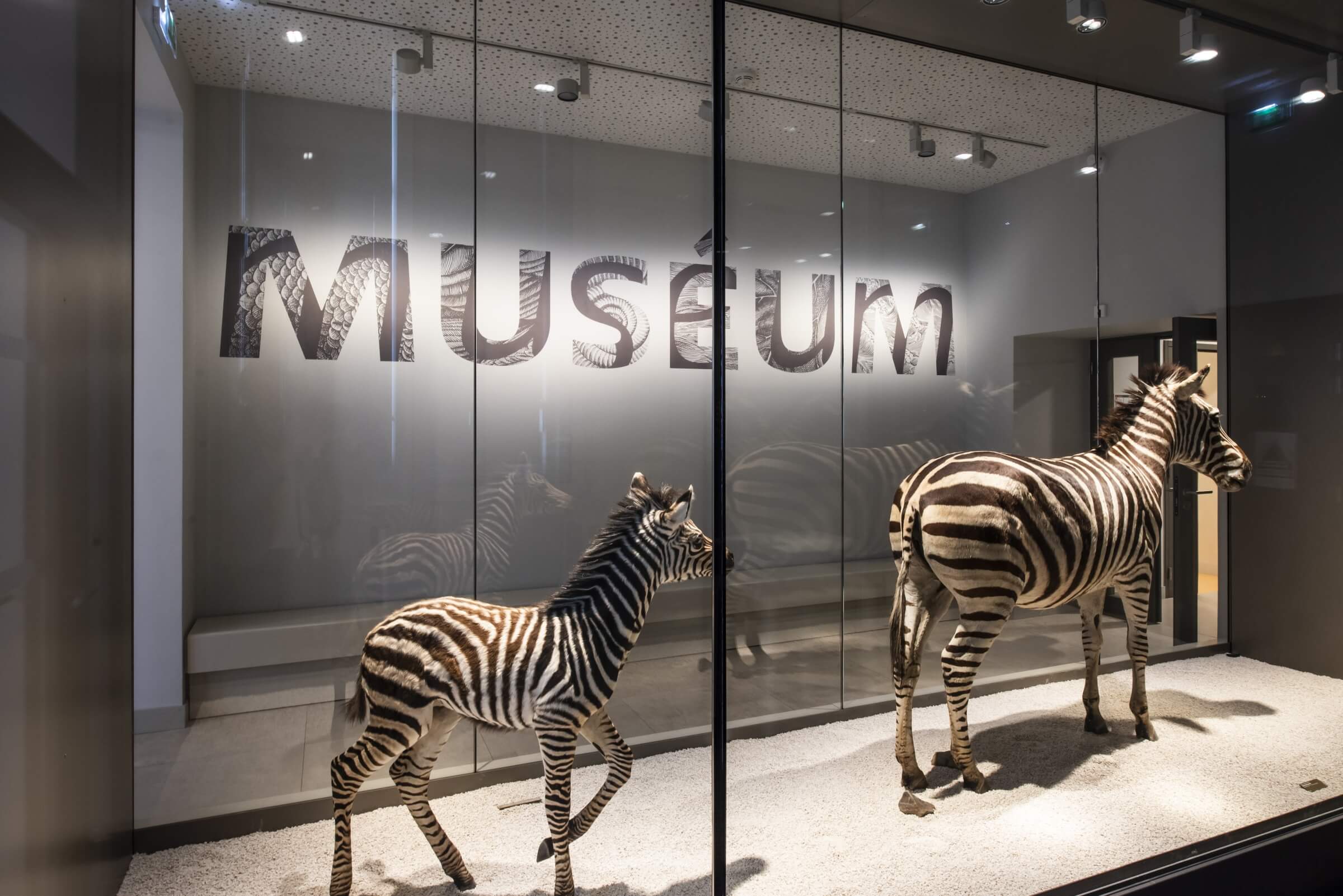 museum1.hd.2019anaka-18