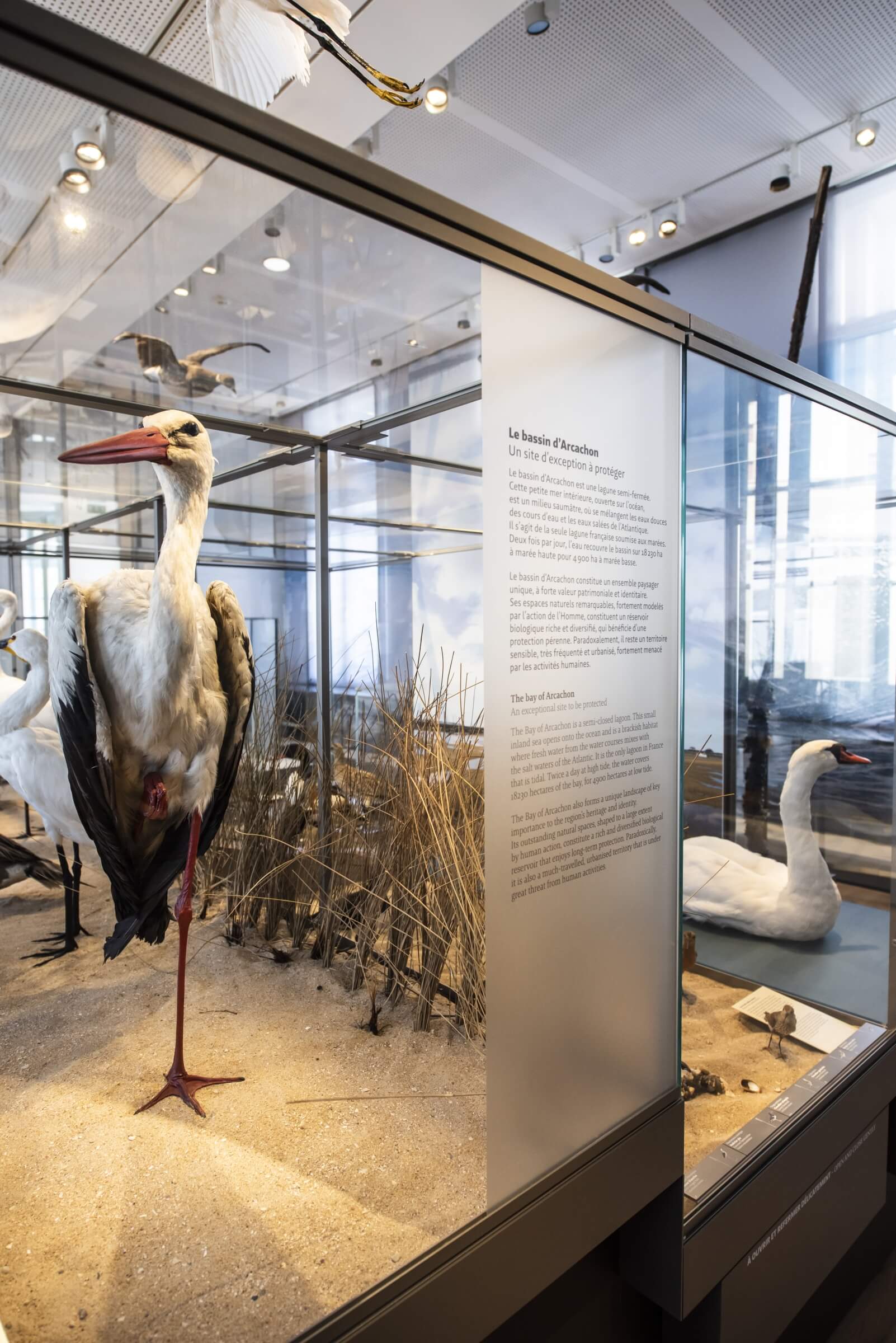 museum1.hd.2019anaka-187