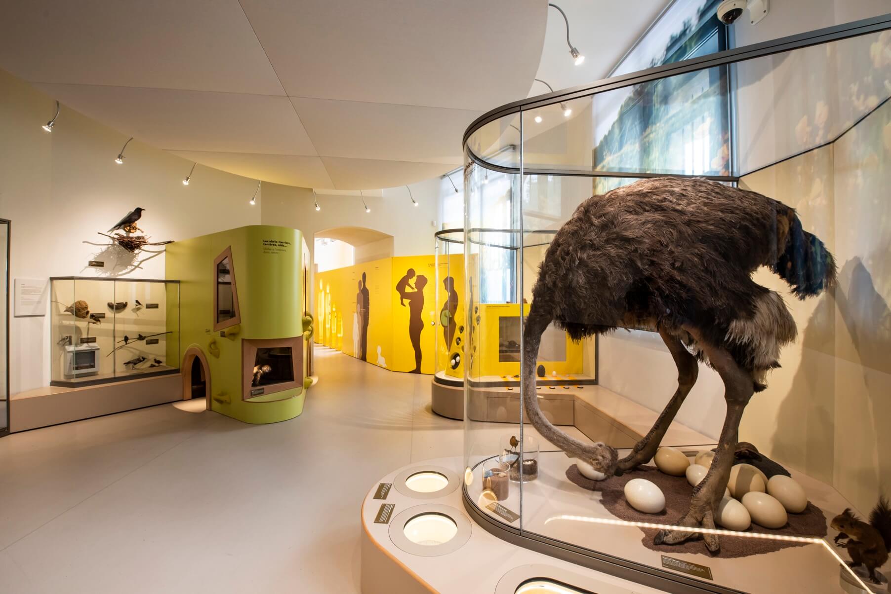 integral designers – muséum de Bordeaux