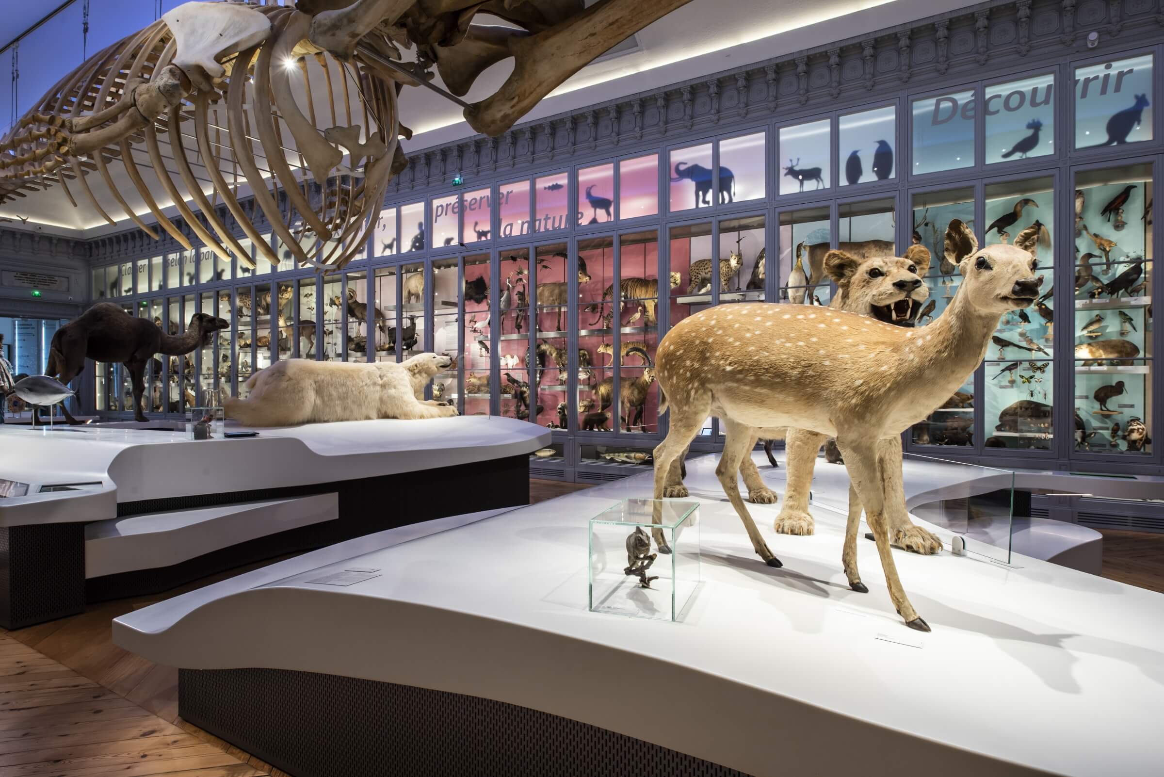 museum1.hd.2019anaka-236