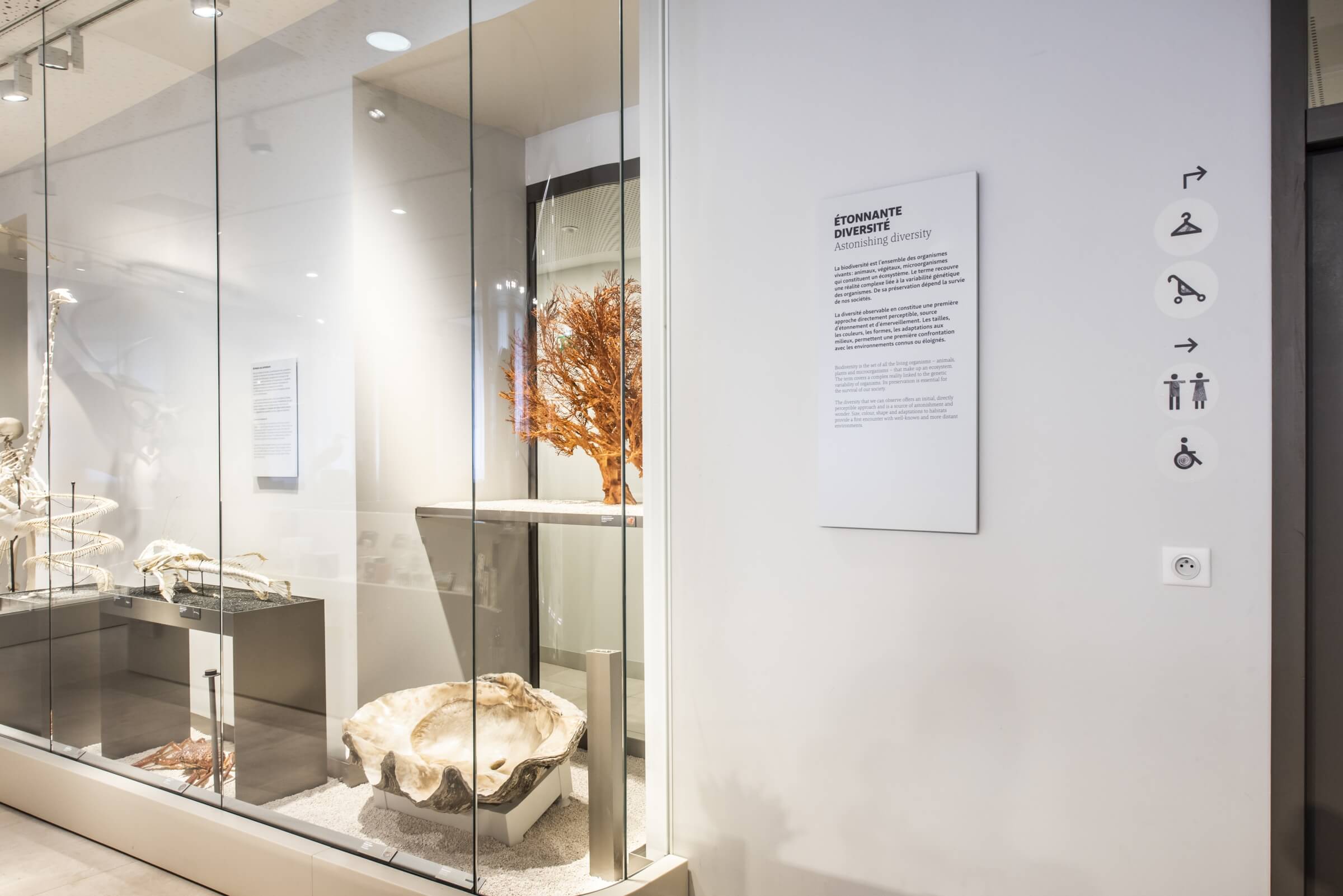 museum1.hd.2019anaka-80