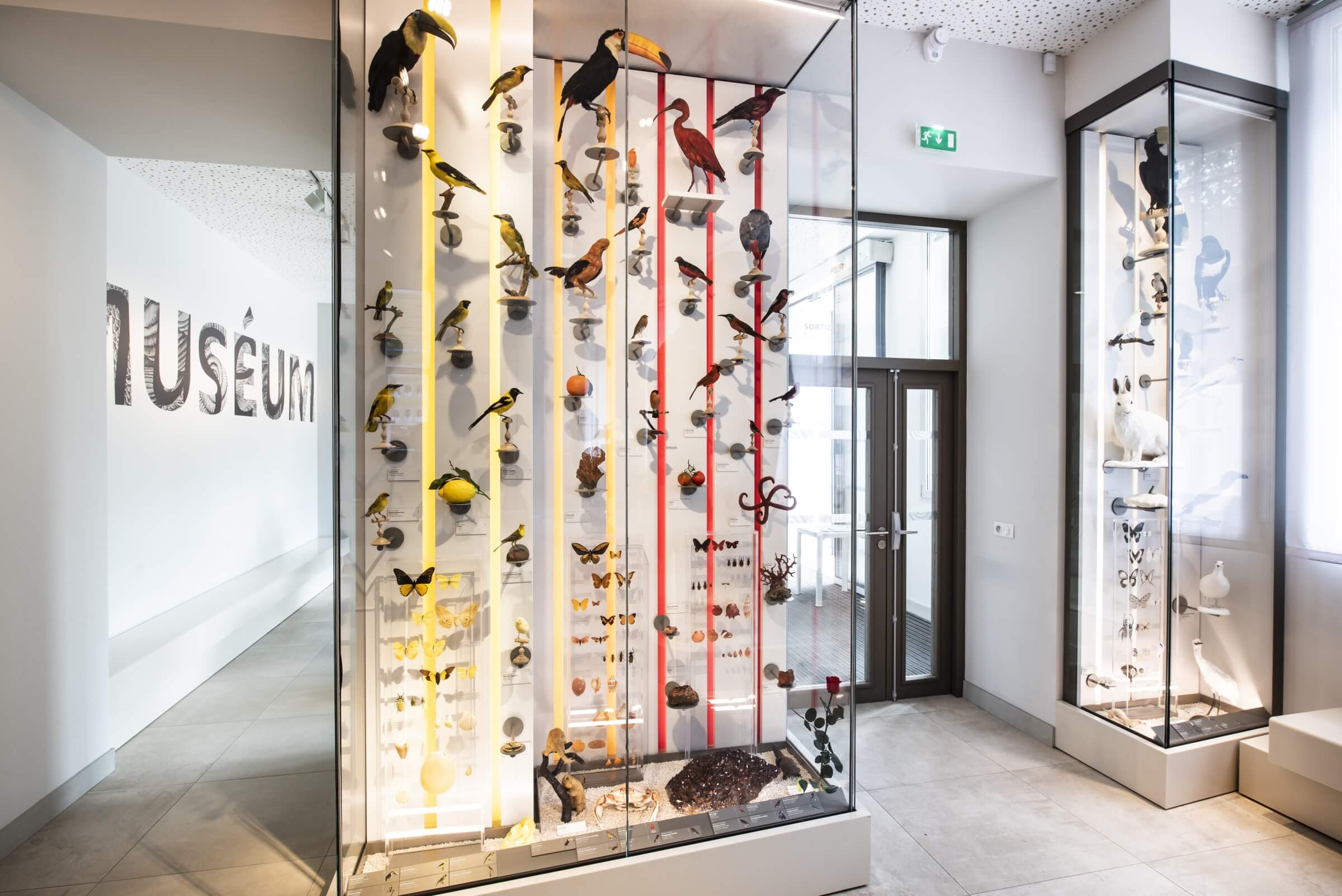 museum1.hd.2019anaka-99