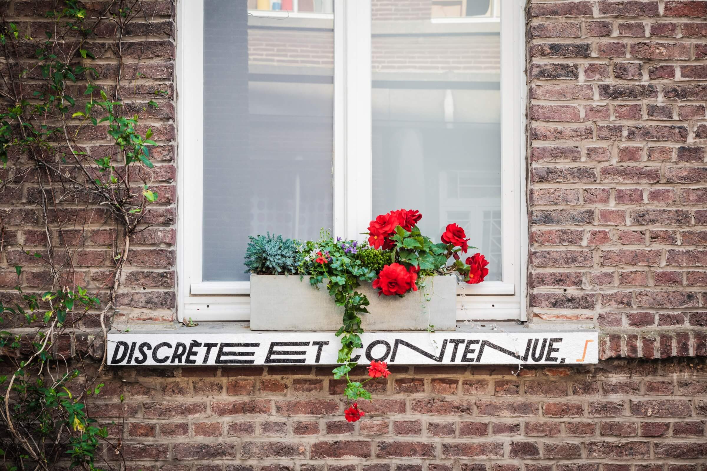 laboirb_laphrase_mons_85