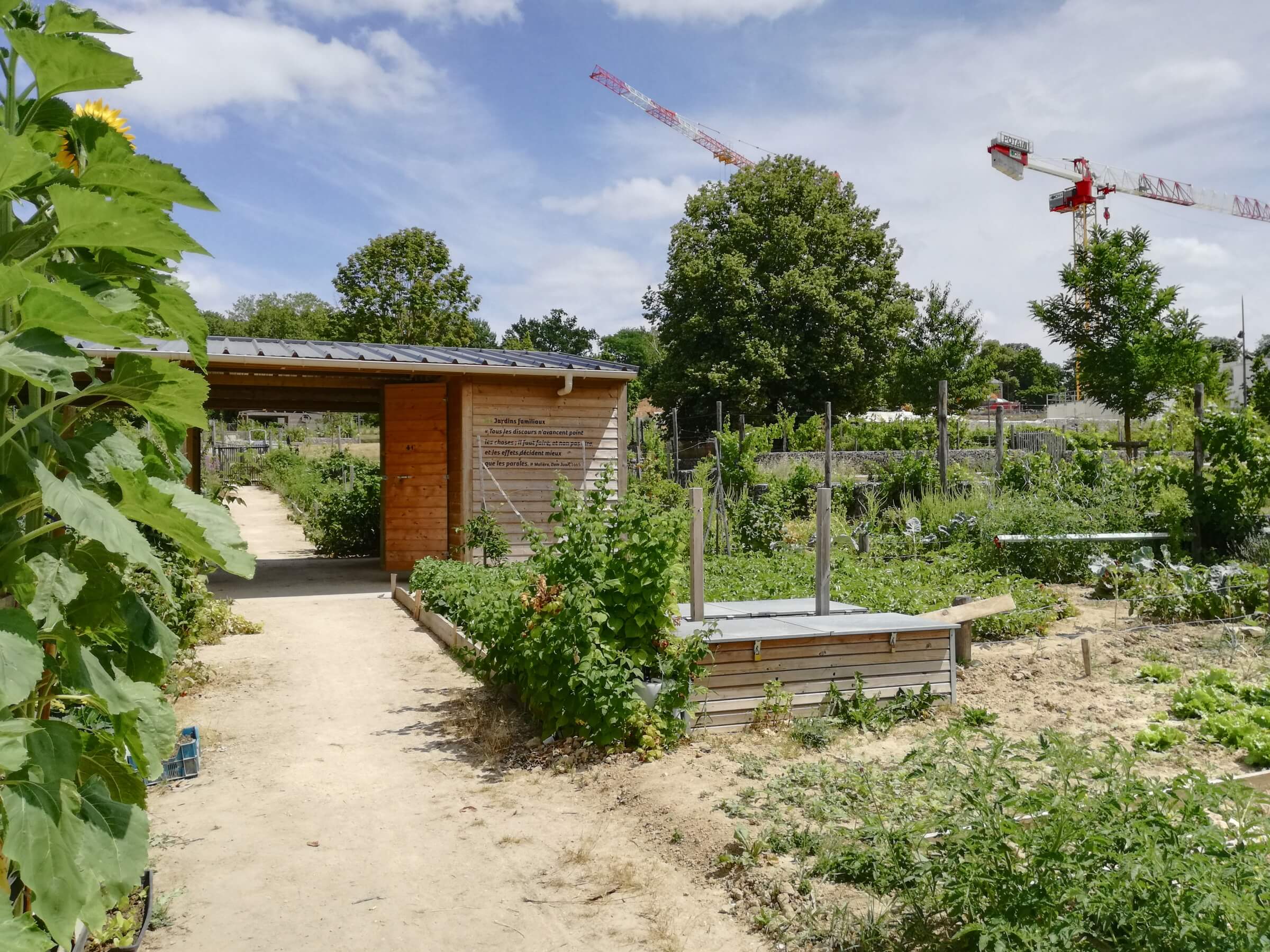 img_20190701_142916-l