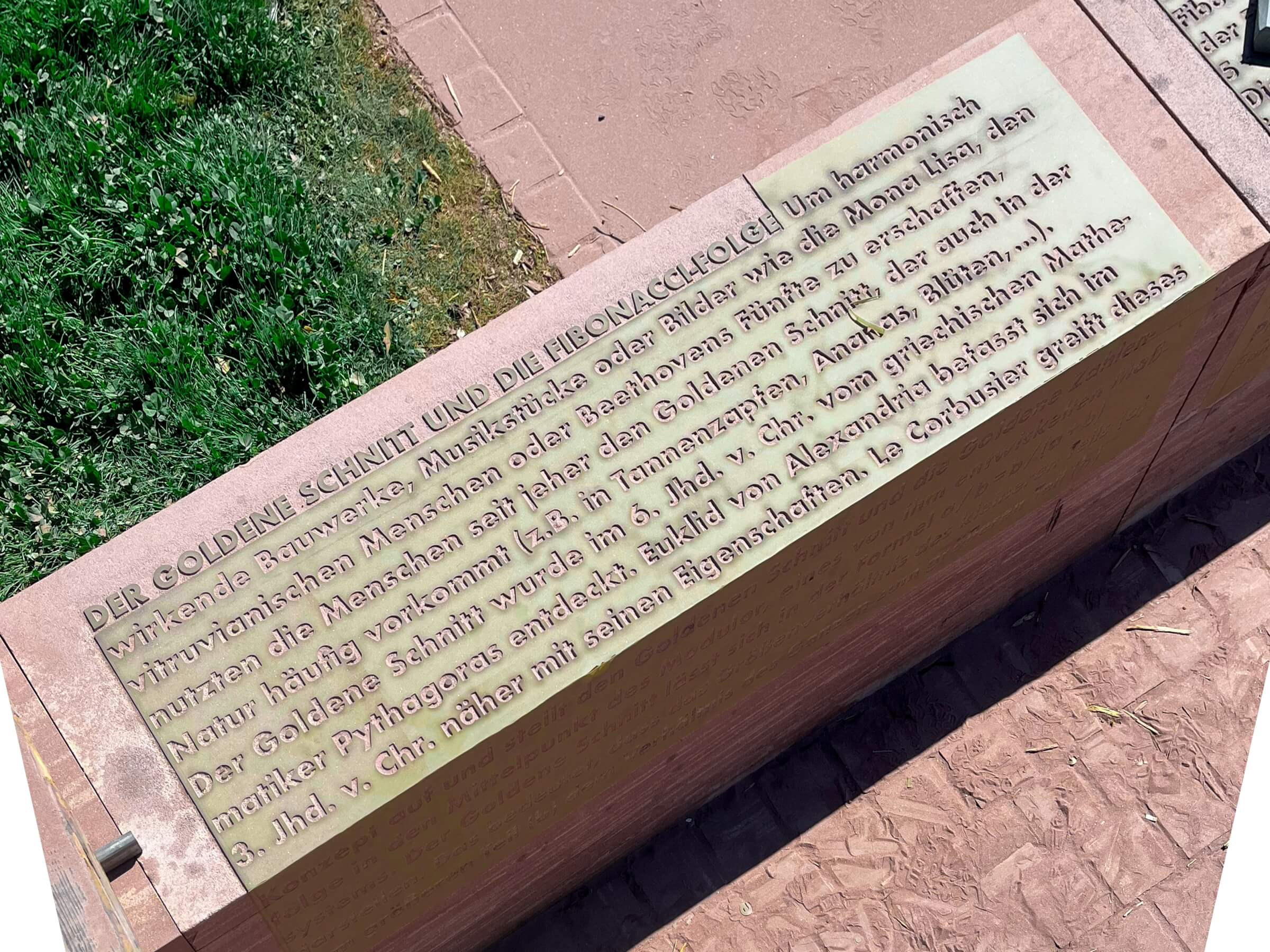 img_7247morgane-pontis