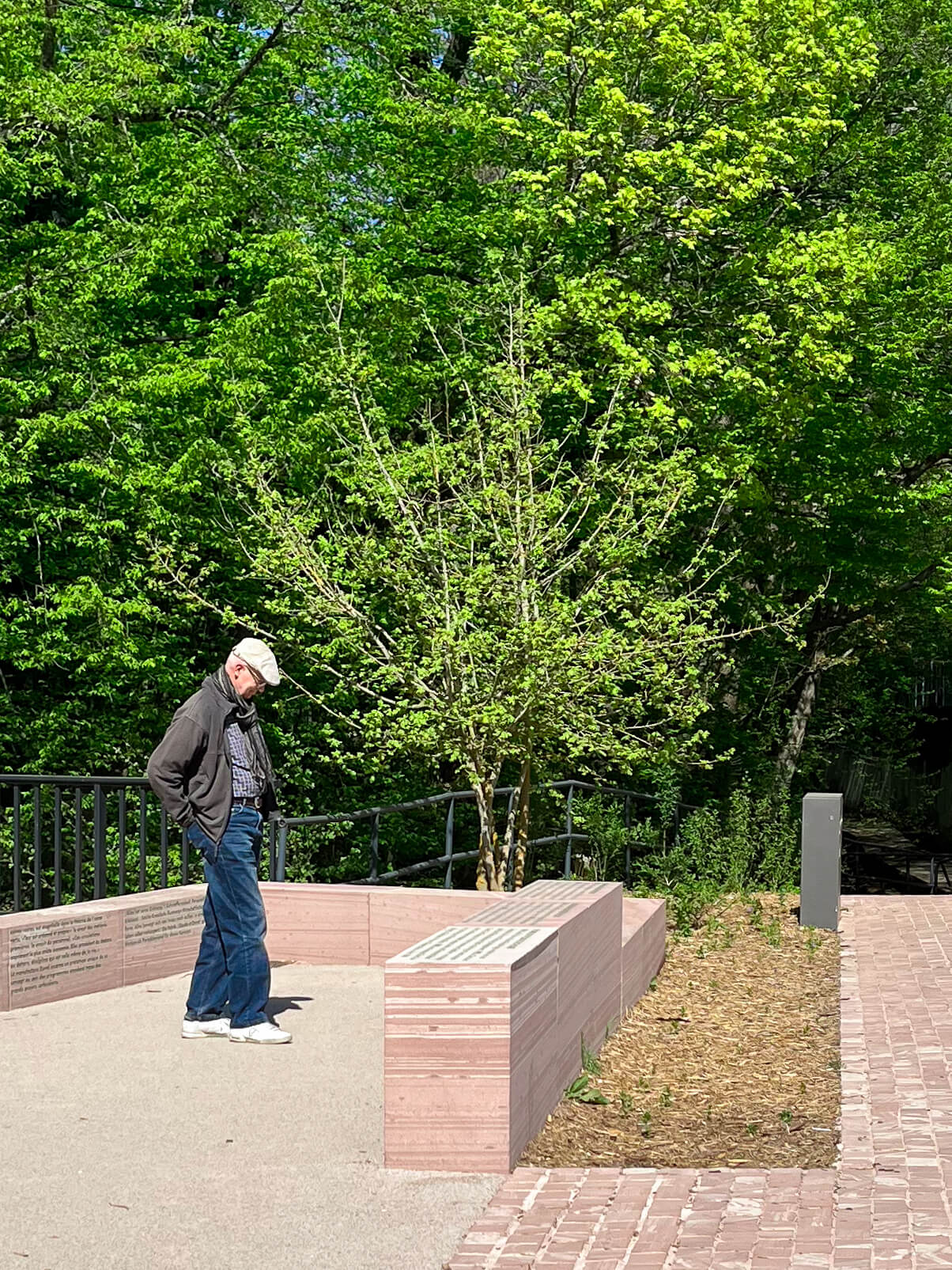 img_7275morgane-pontis