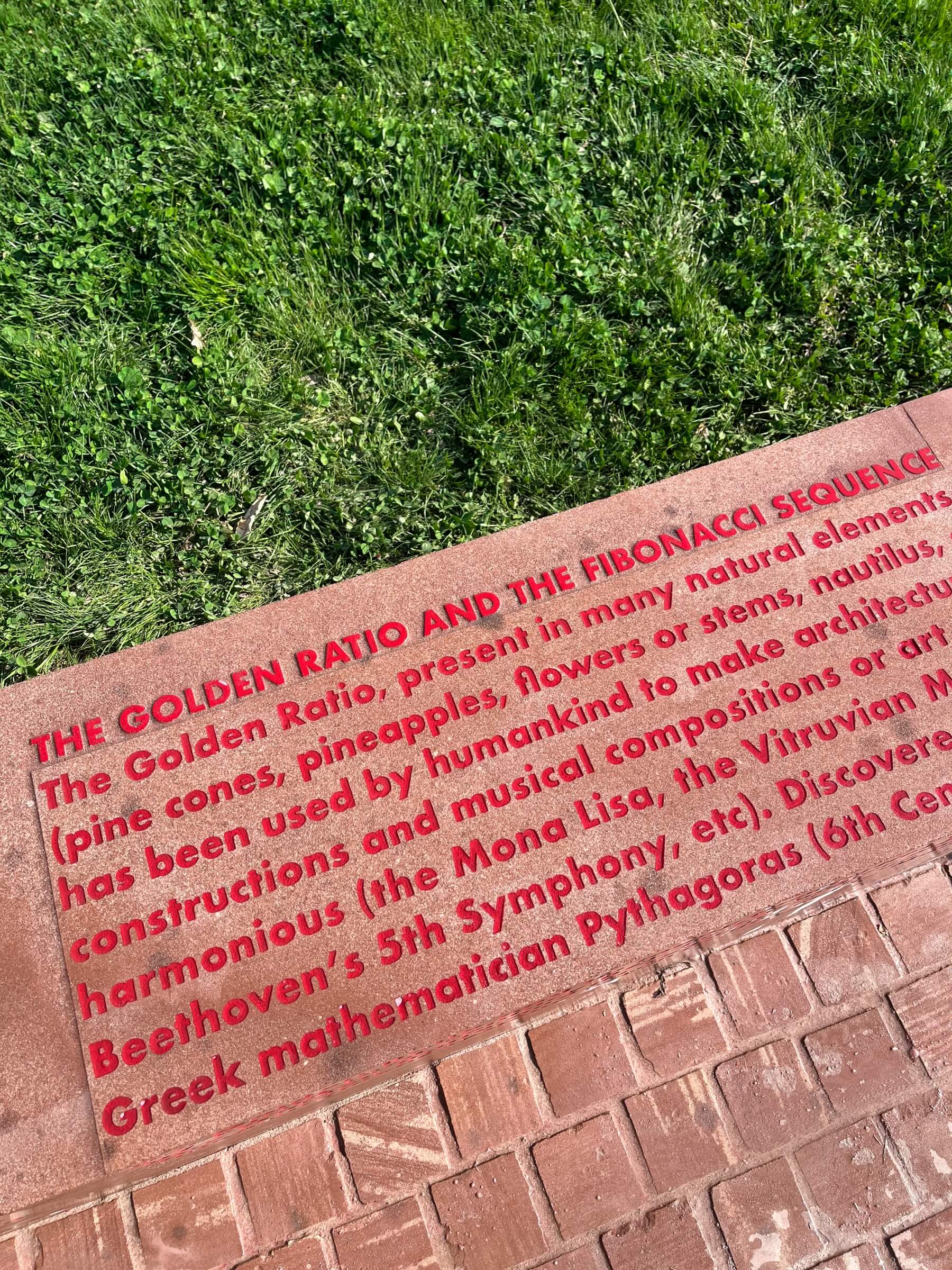 img_7382morgane-pontis