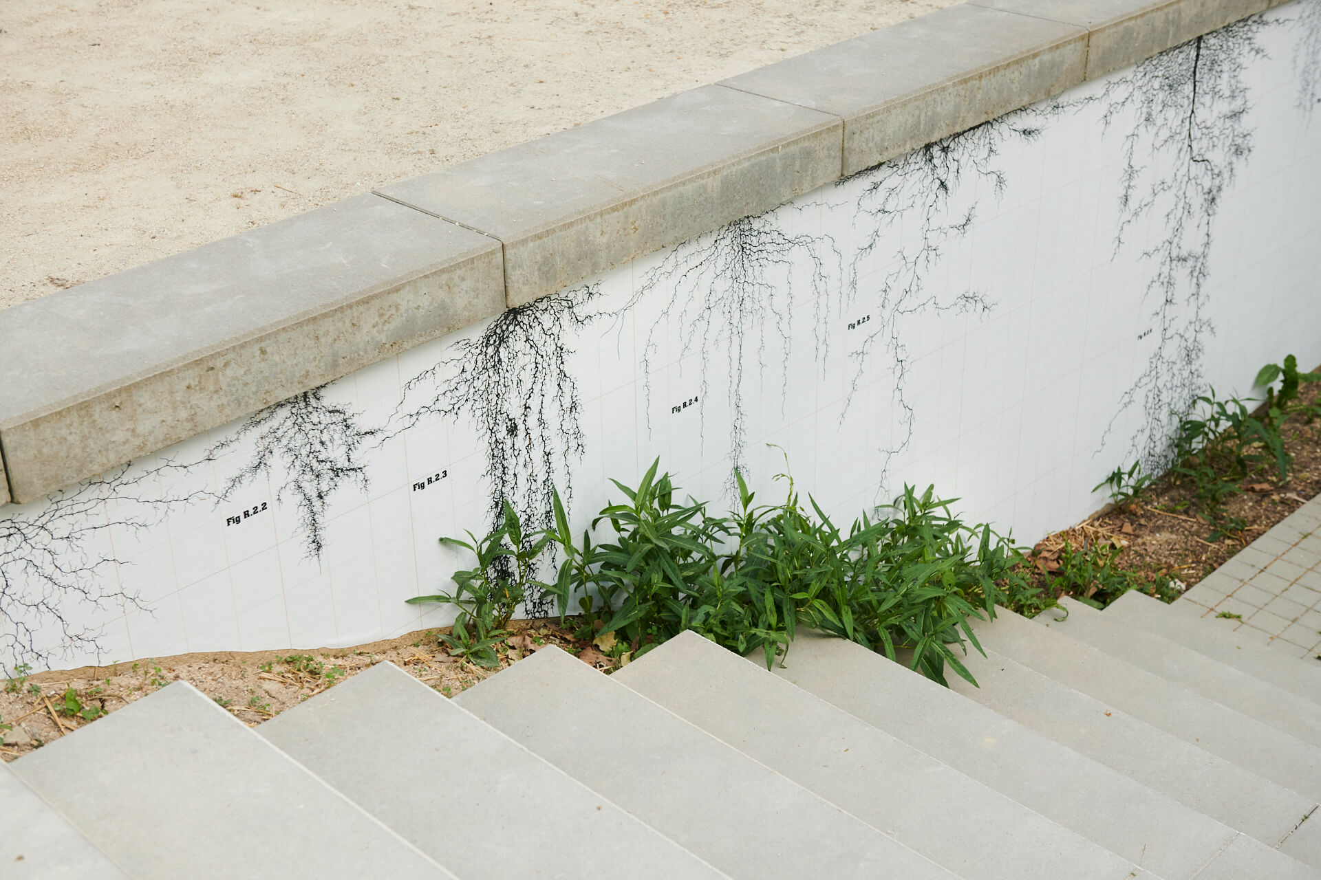 bap-preseanceduvivant-emmanuel-gabily-_egp0866