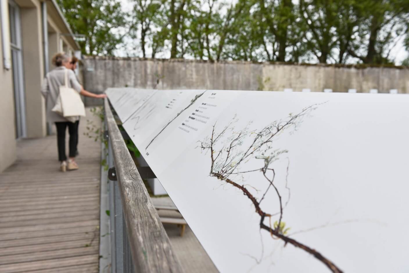 bap-preseanceduvivant-emmanuel-gabily-adc9671-1408x