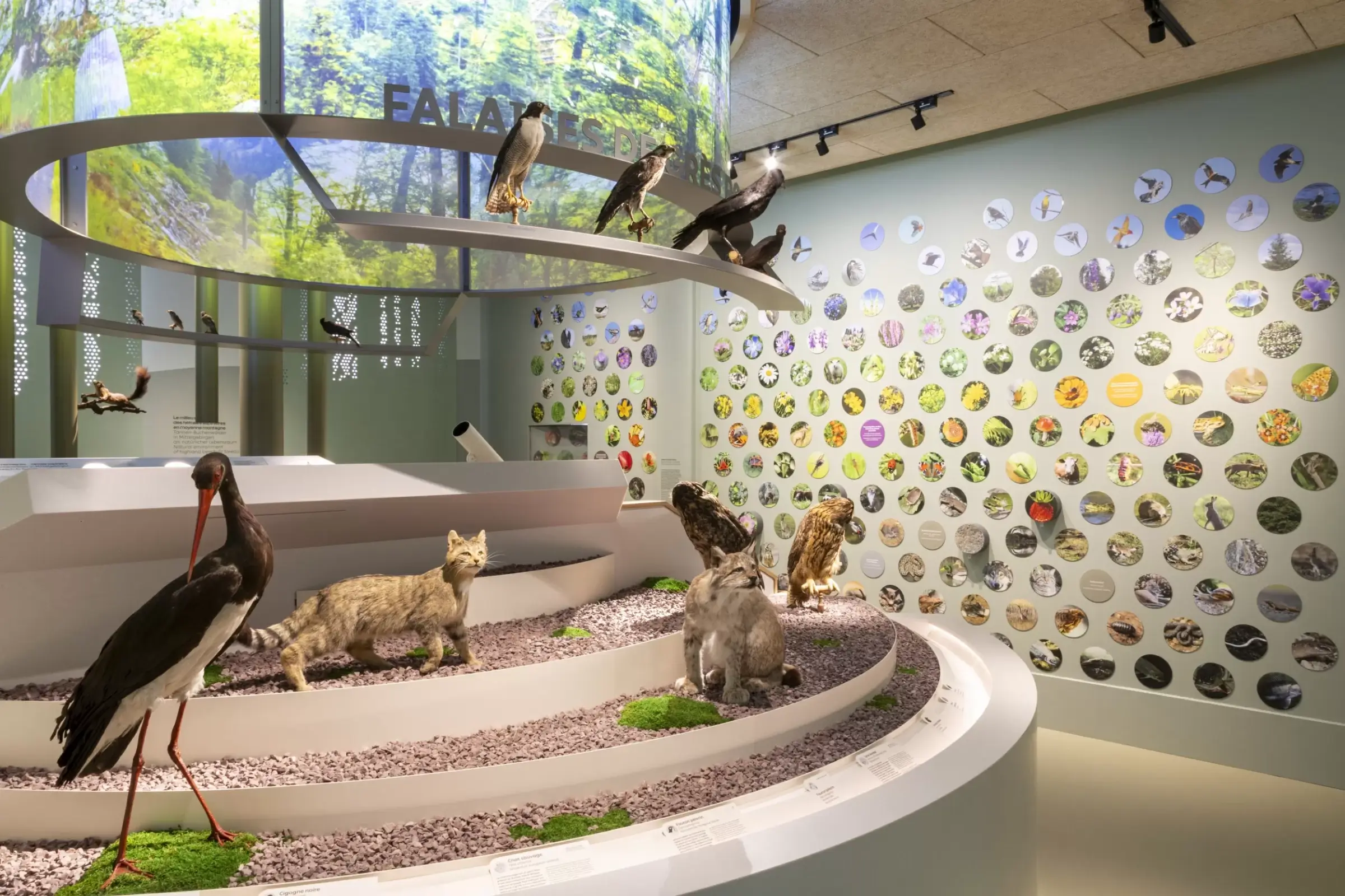 2500_1667_1_014a5683