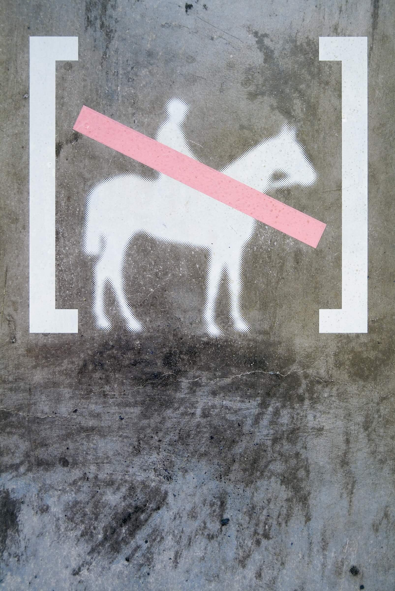 irb_chamborddomain_15_akatre