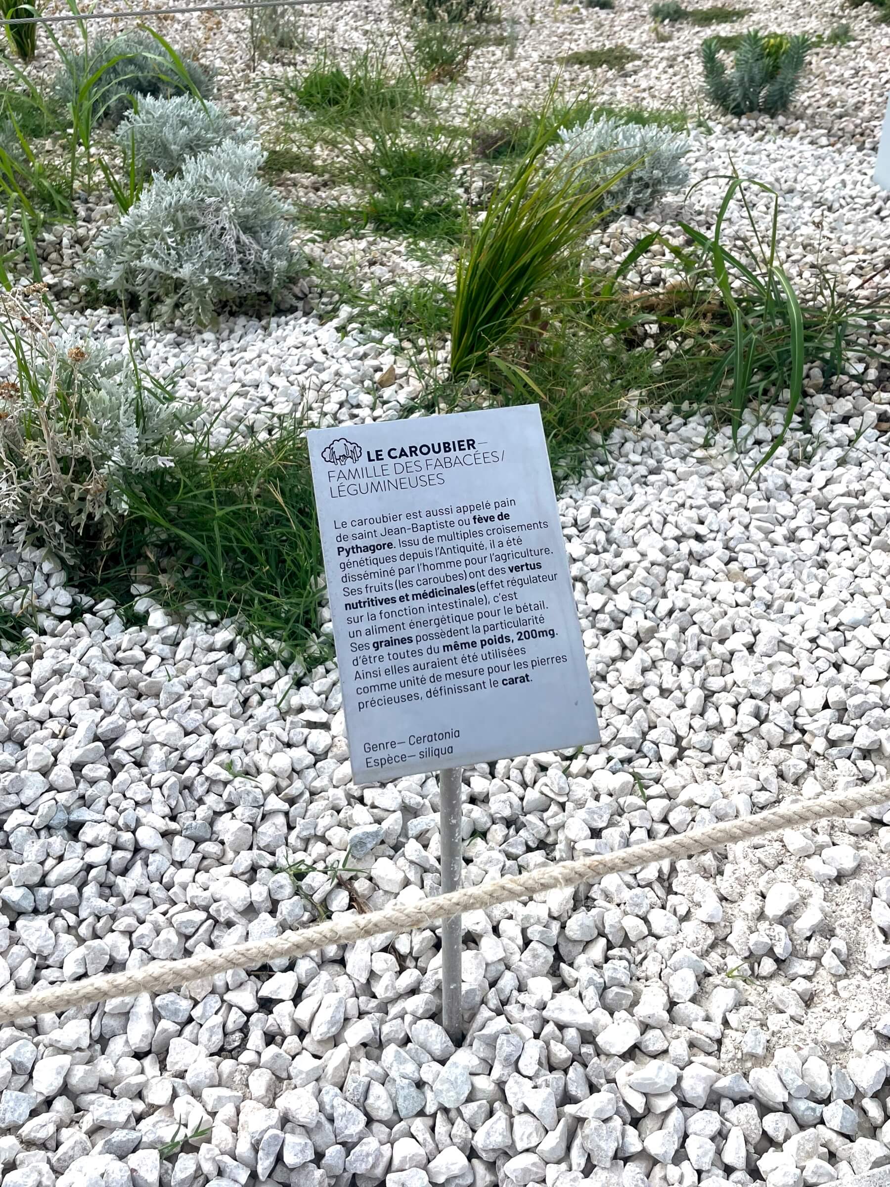 img_4256_philippe-prost